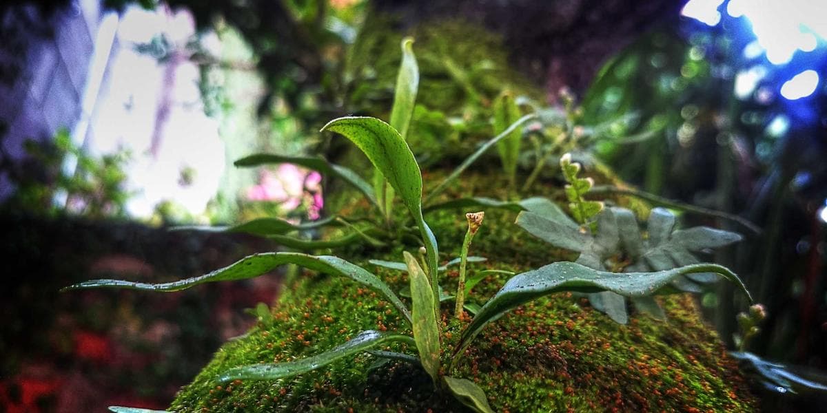 2028 LA 올림픽 티켓 추첨 등록 시작