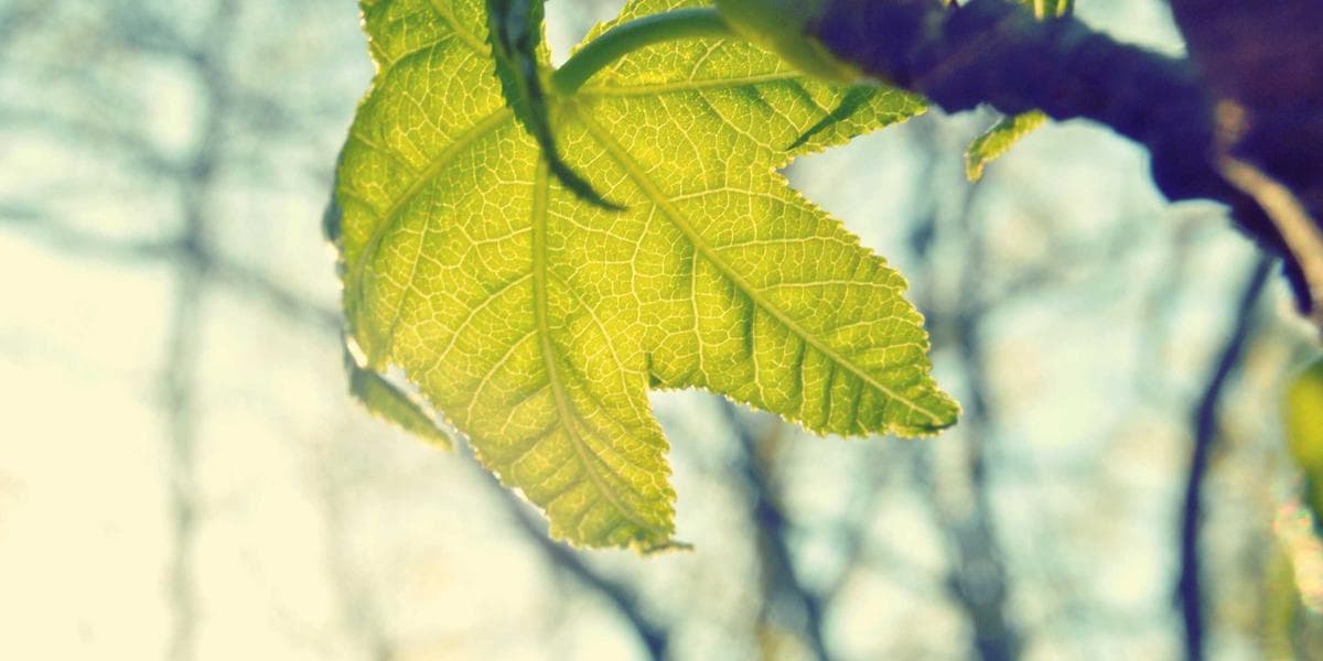 Rebote de los mercados asiáticos ante decisión de la Fed, KOSPI sube 3%