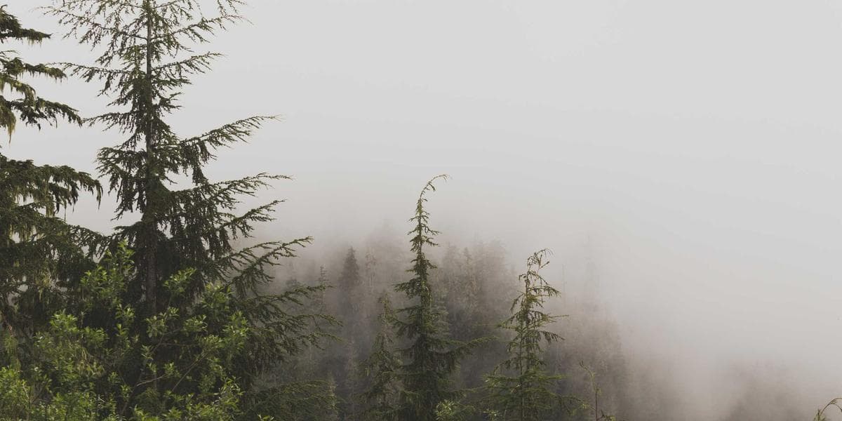 의사들이 우려하는 의료의 미래