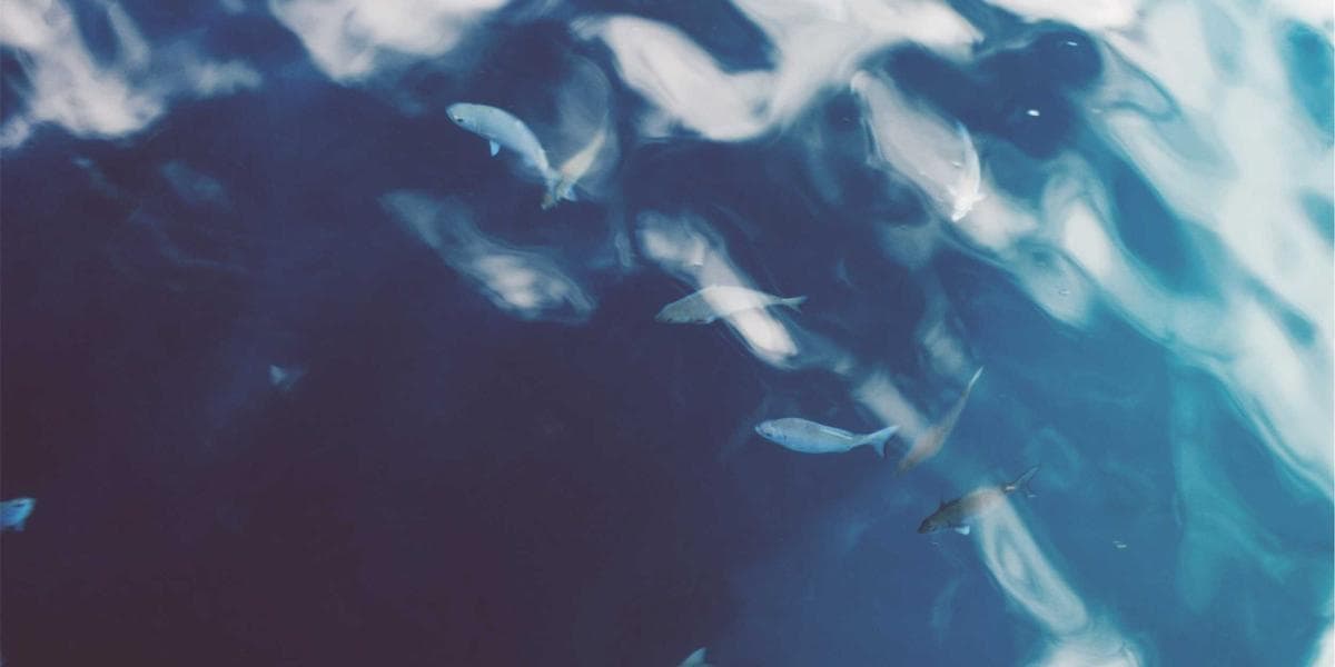 Hoban Construction Expands Hanjin KAL Stake to 18.78%, Narrows Gap with Cho Won-tae to 1.78%p