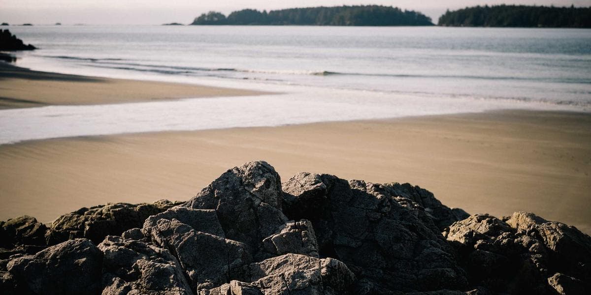 한국 소설가 이수현, 부커상 후보에 올라…AI 번역이 가교 역할