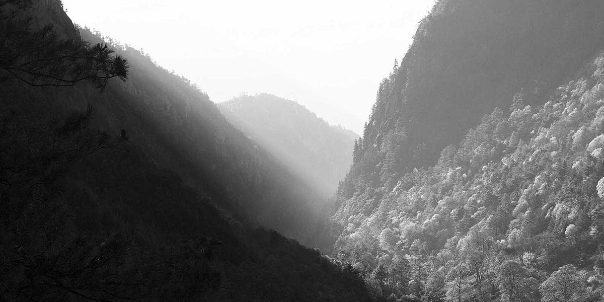 원·달러 환율 1,350원대 안착…수출 기업에 미치는 영향은