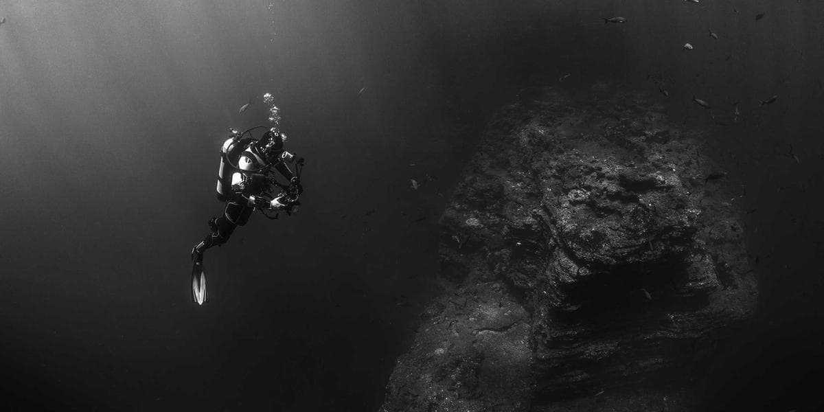 마블 코믹스, 2026년 2월 라인업 공개