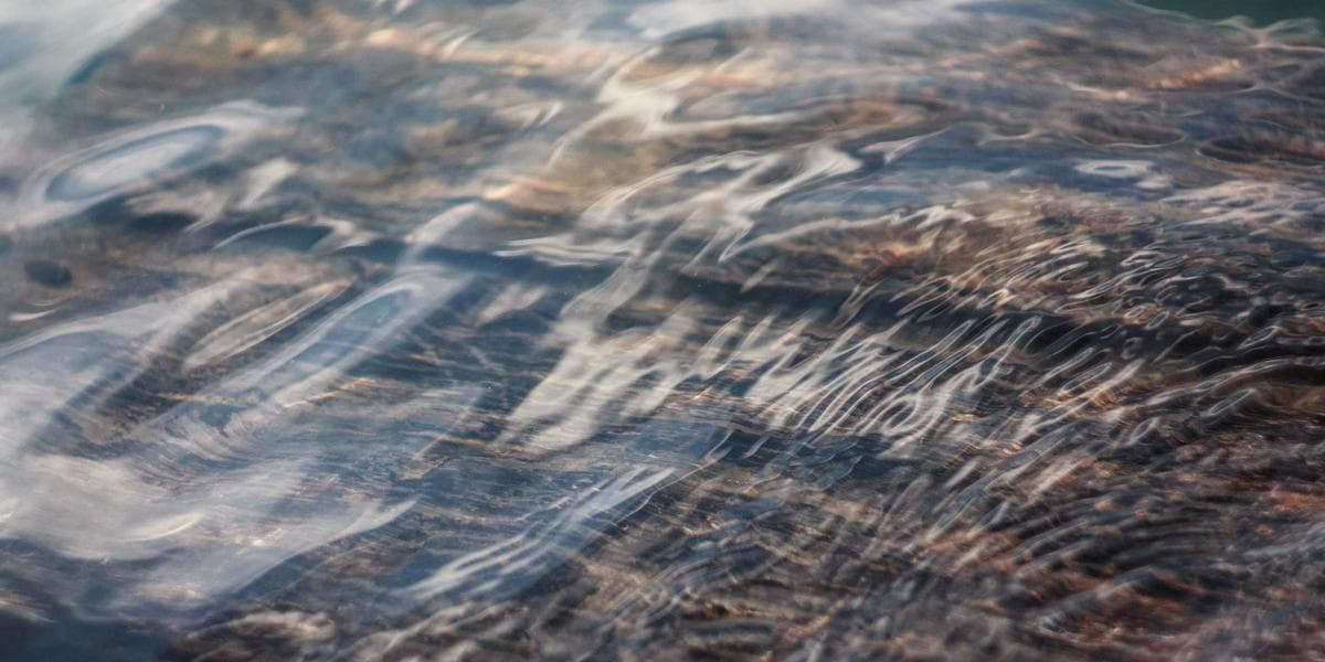 [오피니언] AI가 만든 작품은 예술인가, 기술인가