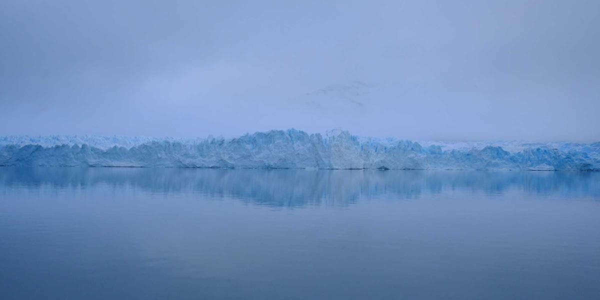 국립현대미술관, AI 생성 예술작품 첫 영구소장... '인간 창작성' 논쟁 재점화