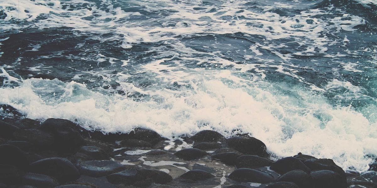 닌텐도, 차세대 콘솔 'Switch 2' 3월 출시 확정...8년 만의 세대교체