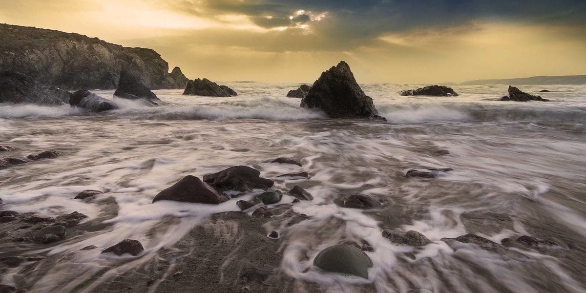 록펠러대, 기존 대비 1000배 성능 질량분석기 개발... 프로테오믹스 혁신 예고