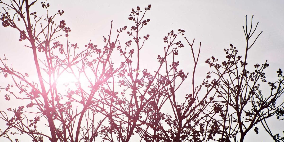 미국 기준금리 4.5%로 인하… 한국은행 동조 압박 가중