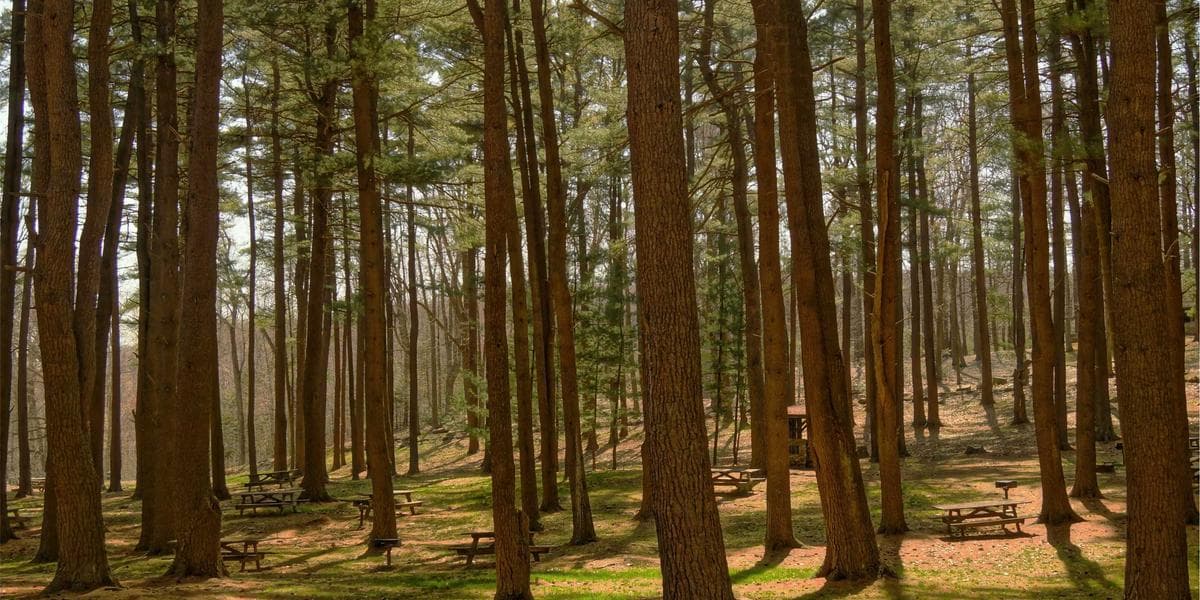 소니 플레이스테이션 6 공식 발표, 2027년 11월 출시 예정... 8K·240fps 지원