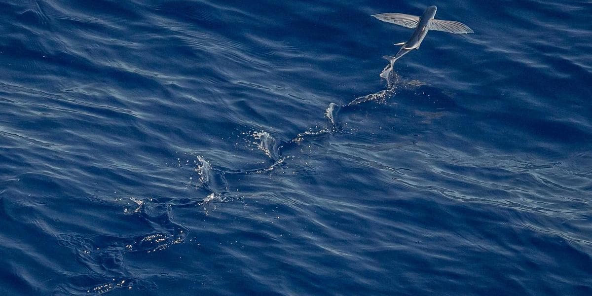 손흥민, 토트넘 역대 최다 득점 1위 등극..."레전드 넘어 아이콘으로"