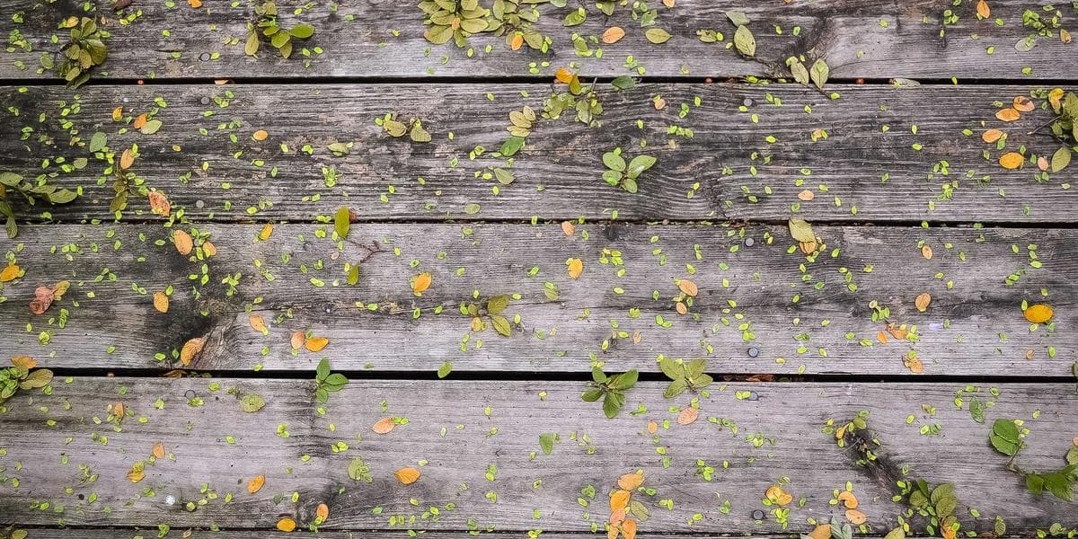 실리콘-그래핀 음극·나트륨 양극 돌파구, 차세대 배터리 상용화 가시권