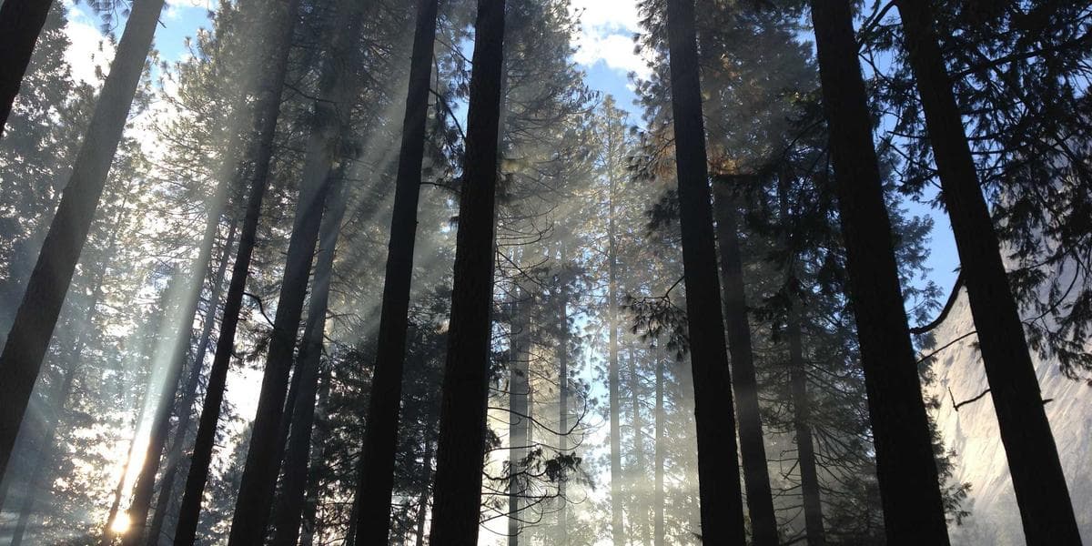 오스카 수상팀의 새 우크라이나 전쟁 다큐, PBS 공개