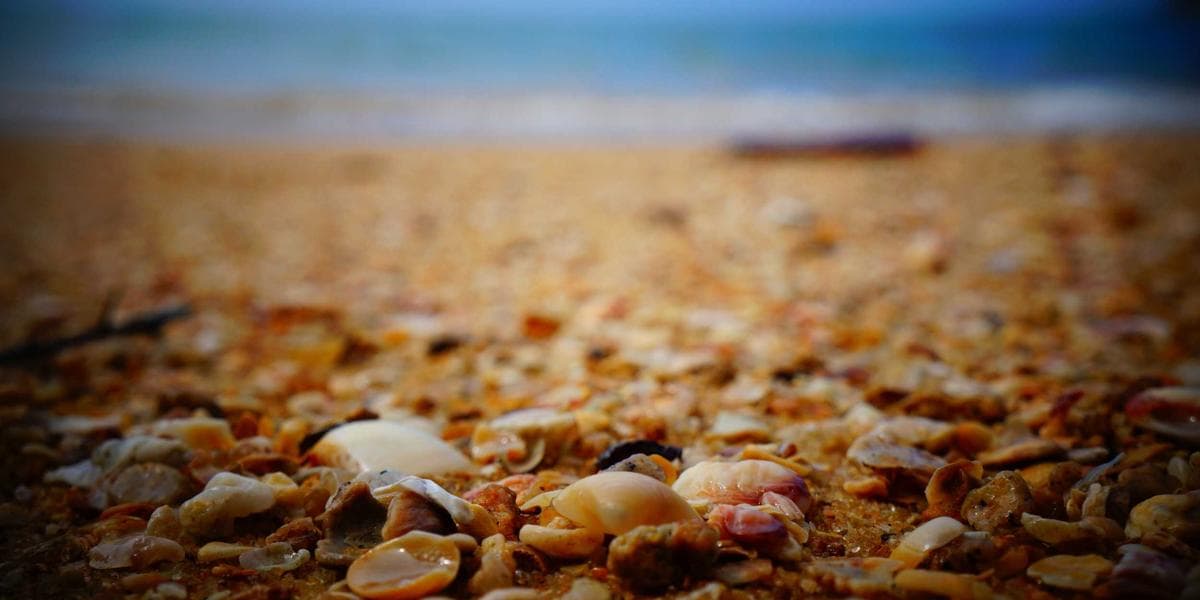 유가 100달러 지속 시 미국 성장률 0.5%p 둔화 전망