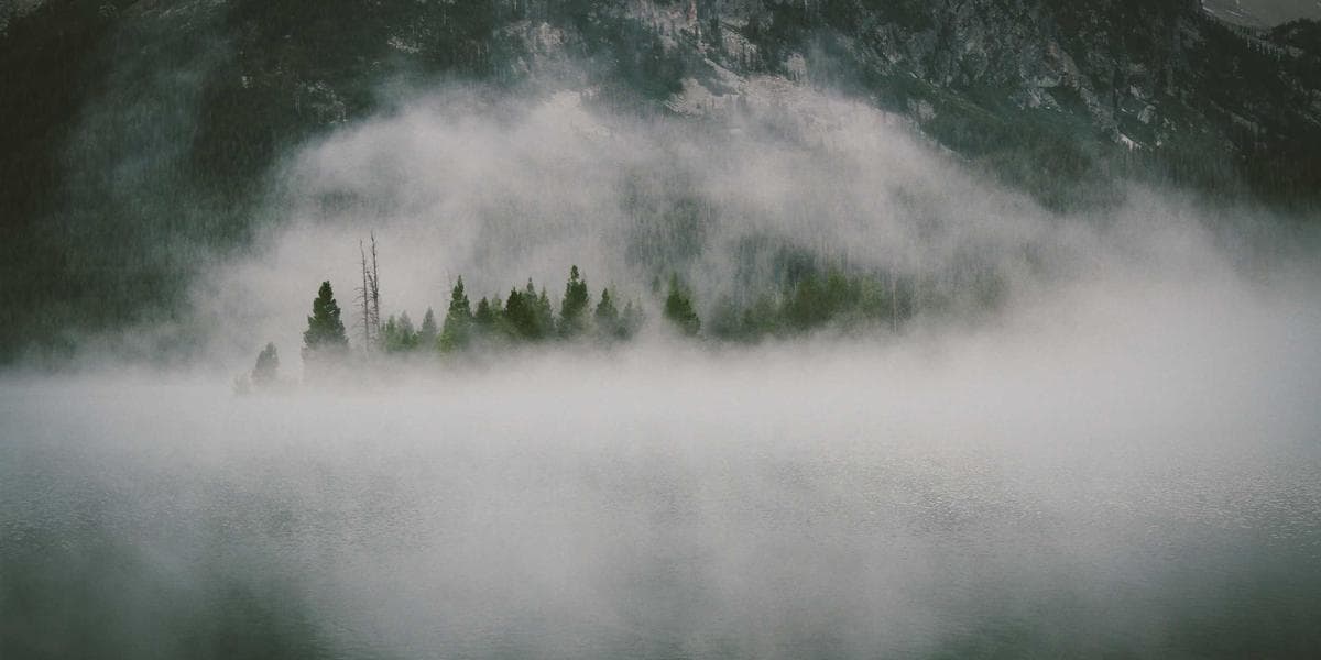 EU, 2026년 '탄소국경세' 전면 시행 앞두고 개도국 반발 격화