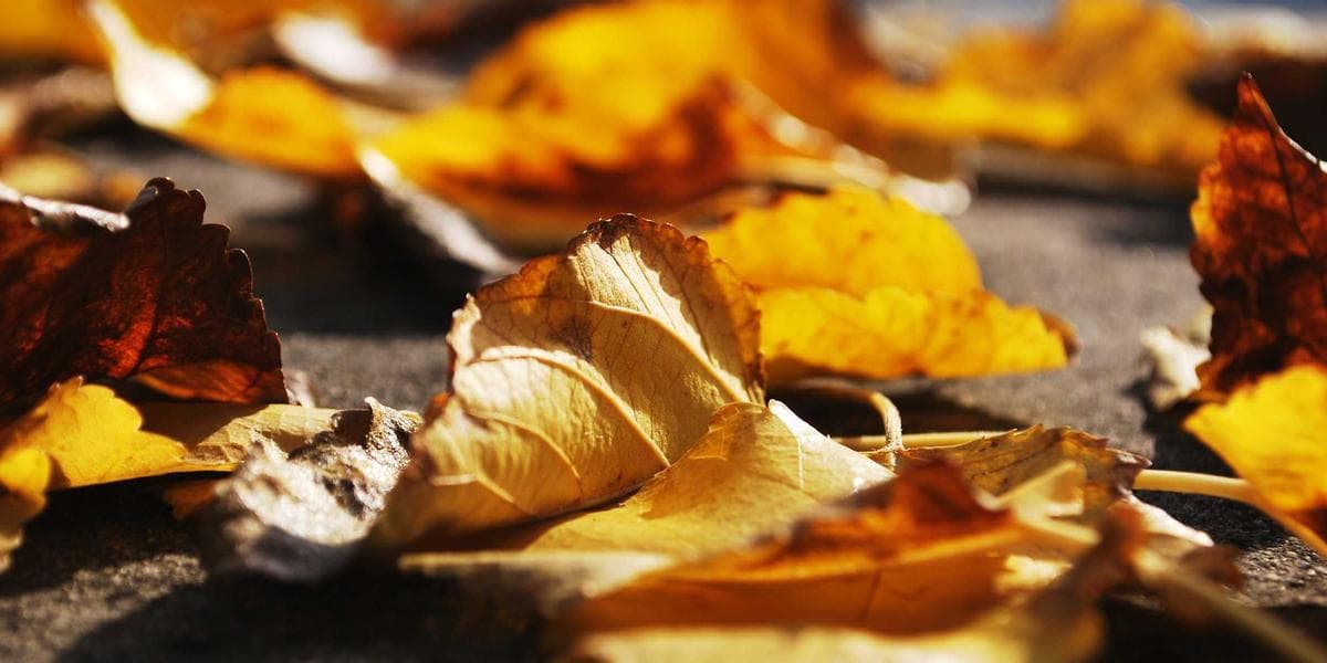 샤크, 85℃ 온수로 걸레 자동 세척하는 로봇청소기 출시