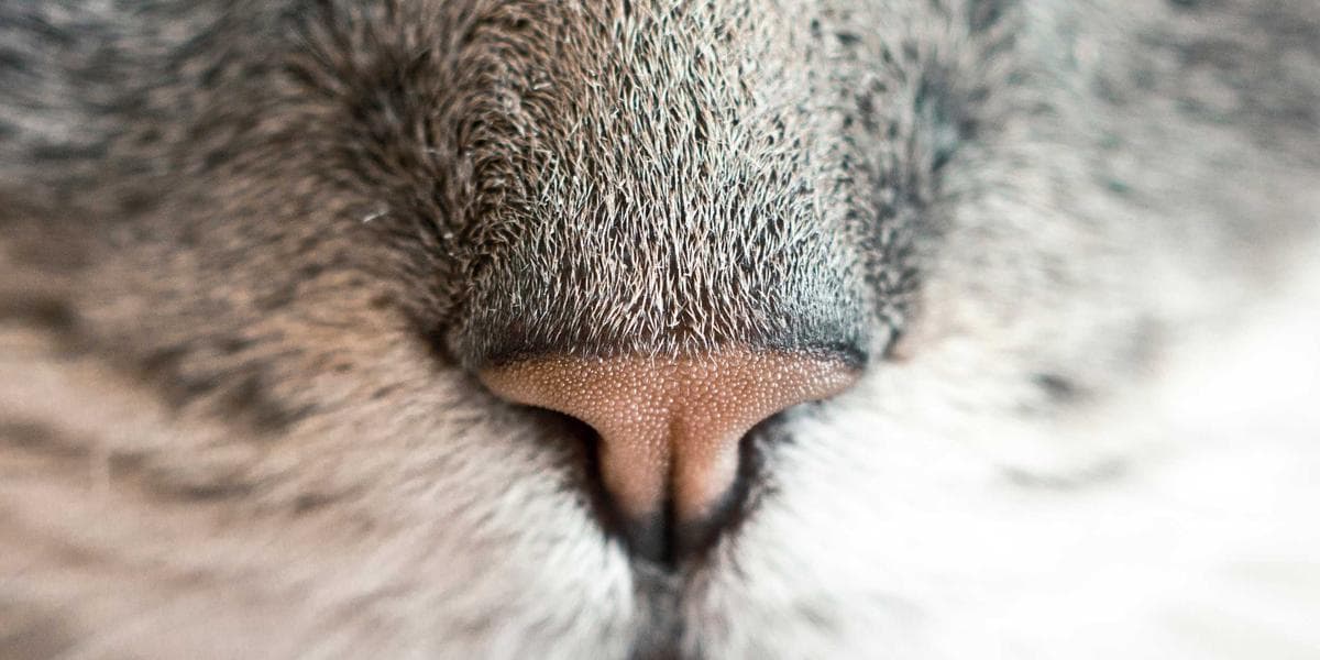 美 증시 일제히 하락, 나스닥 1.69% 급락