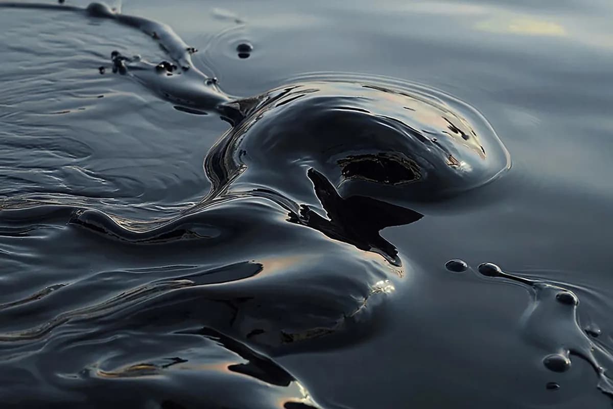 러시아, 미국-이란 대립으로 경제적 이득 예상