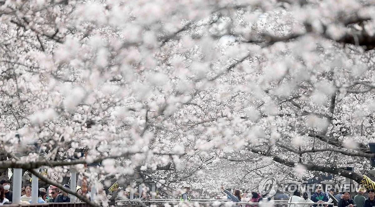 소니, 1년 만에 퍼스트파티 스튜디오 '다크 아웃로우 게임즈' 폐쇄
