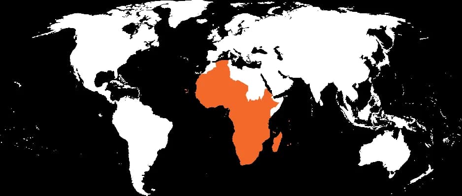 전 세계 아동 사망률 감소세 급격히 둔화...2024년 490만 명 5세 미만 사망