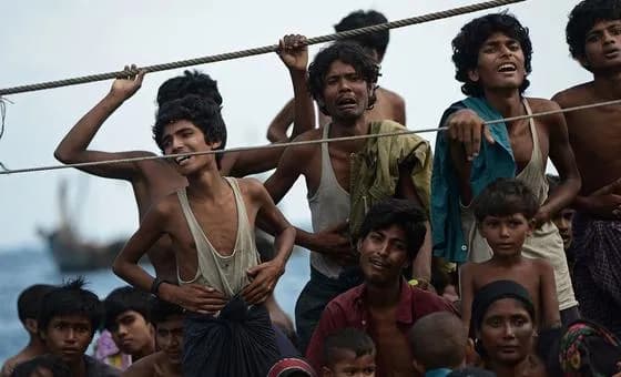 Record number of Rohingya refugees died at sea in 2025: UNHCR