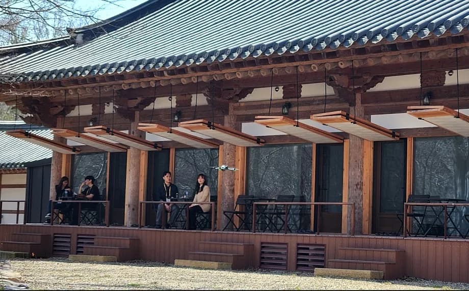 선운사에서 피어난 인연, 32대 1 경쟁률 뚫은 청춘들의 사찰 소개팅