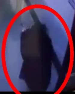 터키 역대 최악의 학교 총기 난사, 학생 포함 9명 사망