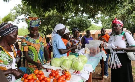 Strength in numbers: Developing countries band together as Iran war batters global economy