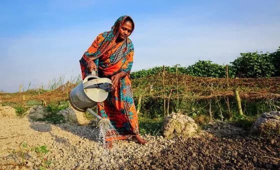 ‘Clock is ticking’: Hormuz disruption raises fears of global food crisis