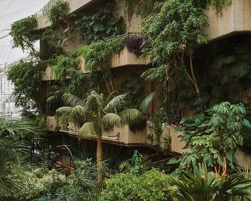 david altrath documents the jungle suspended inside london's barbican conservatory