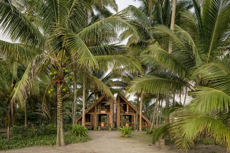 Contemporary Ecuadorian Architecture: Connecting Materials, Environment, and Culture