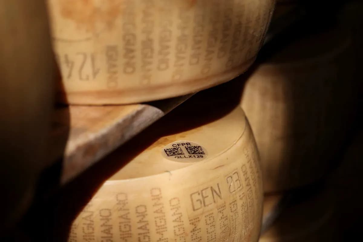 치즈 이름 전쟁: 트럼프, EU 원산지 명칭 보호 허물기 나서