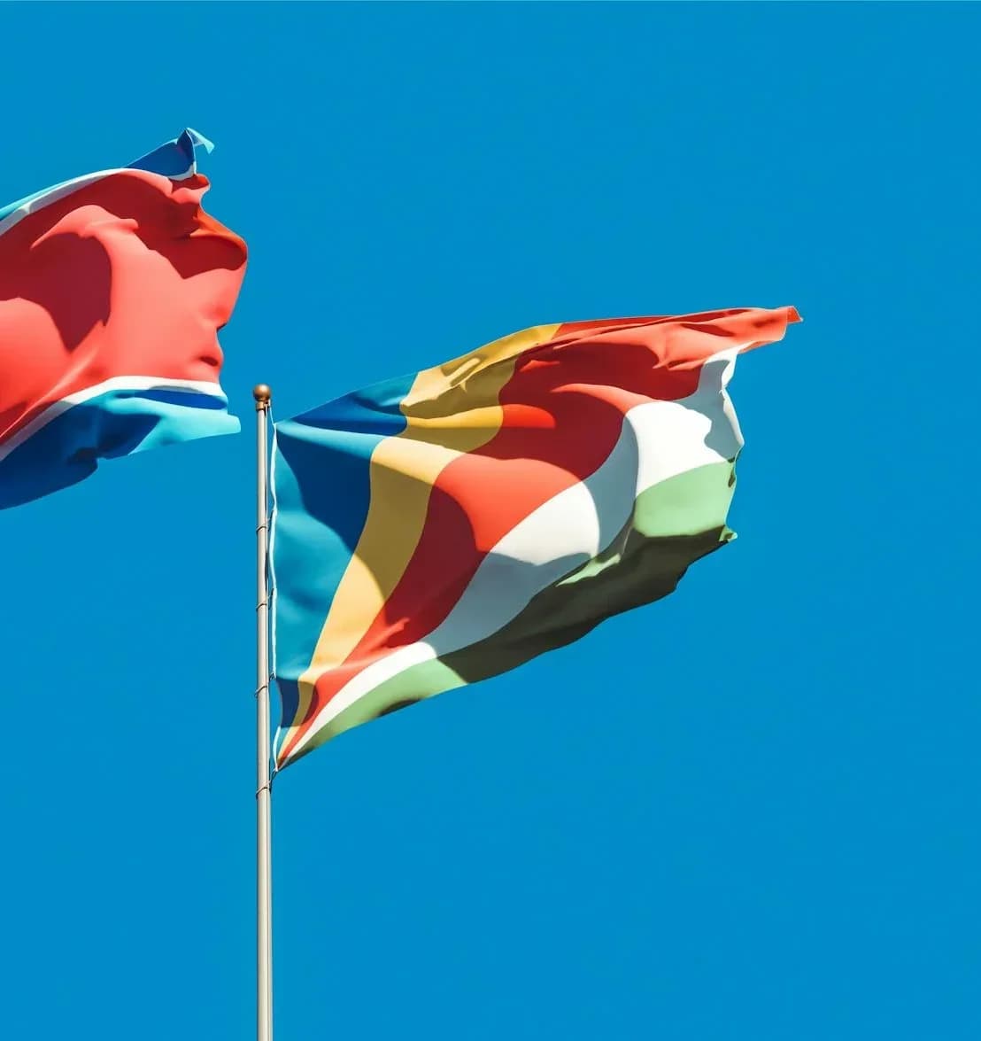 대전 화재 사망 9명, 도면 없는 불법 헬스장에서 집중