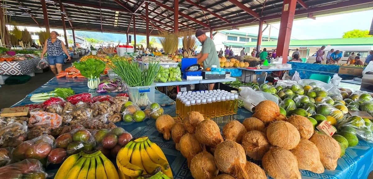 UN 4개 기구, '원헬스' 협력 2030년까지 연장 합의