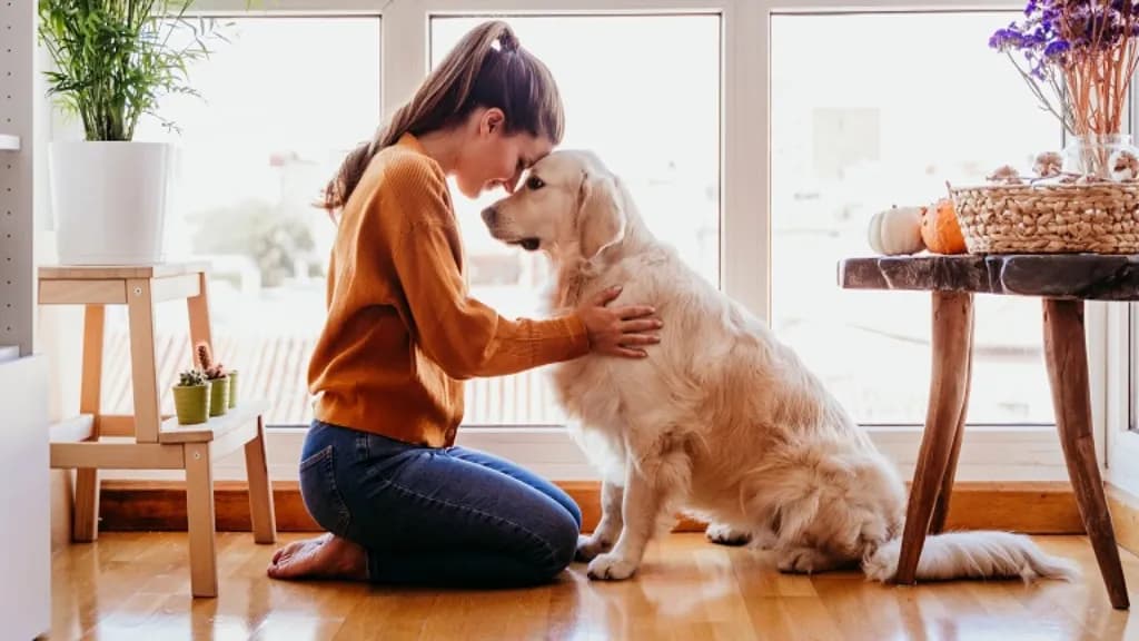 도냐나 습지의 기적적 회복과 기후 위기 대응 솔루션