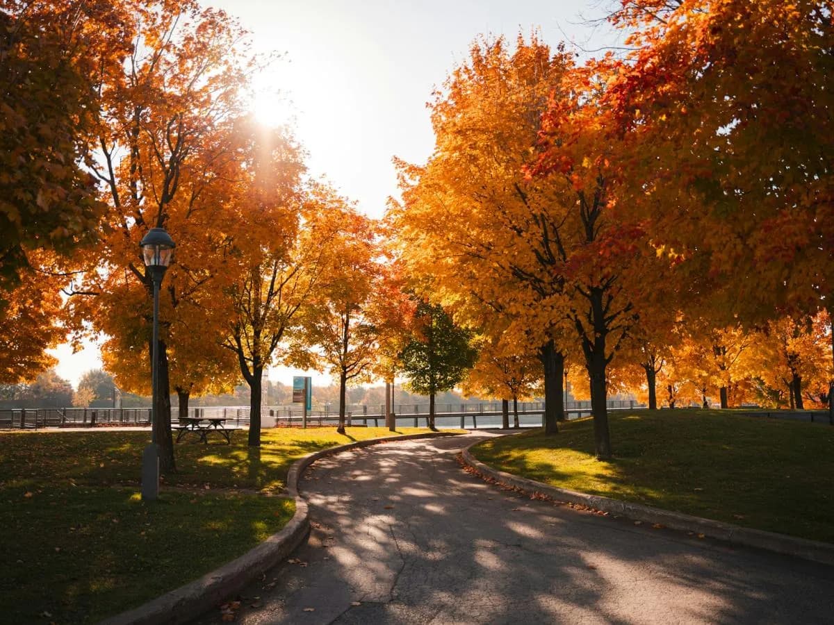 미국 정원이 세계적 명소가 된 이유