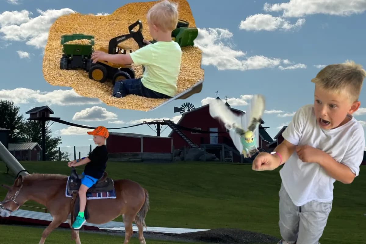 미네소타 가을 농장, 어린이 천국으로 변신