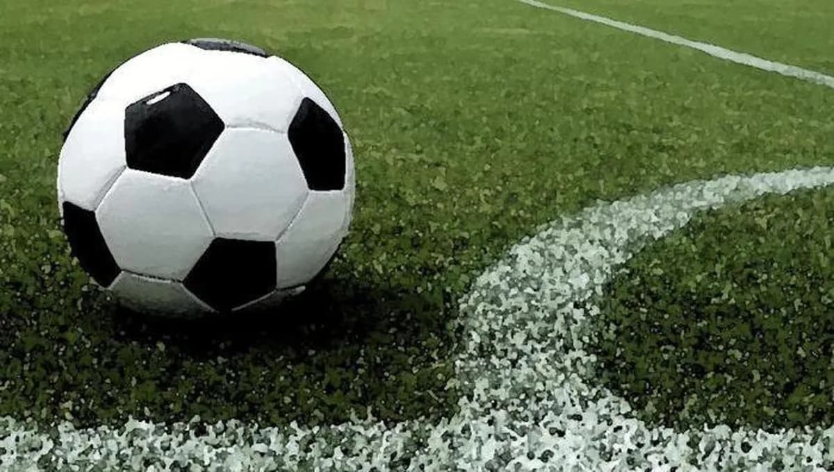 축구장 머리 부상, 알츠하이머와 파킨슨병 위험 높인다