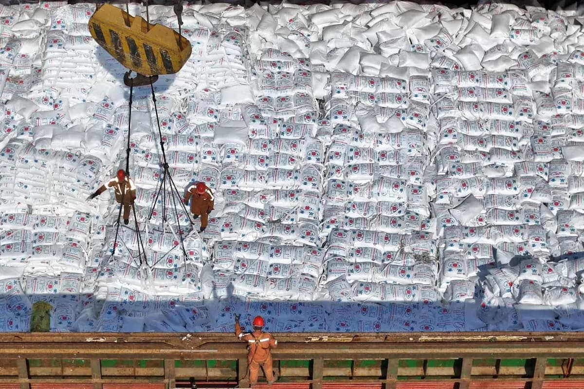 이란 전쟁發 비료 대란…인도 요소 입찰가 전쟁 전의 두 배 육박