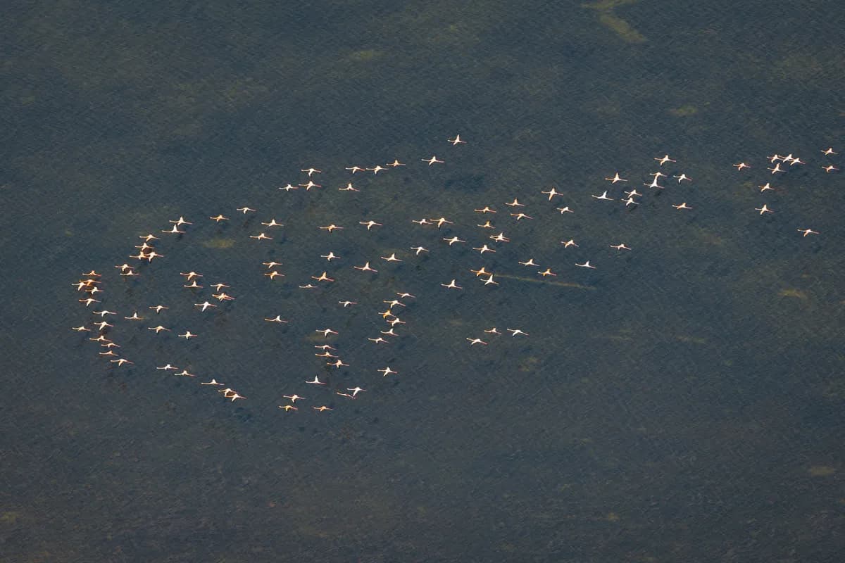 2025년, 플로리다의 가장 충격적이고 희망적인 순간들