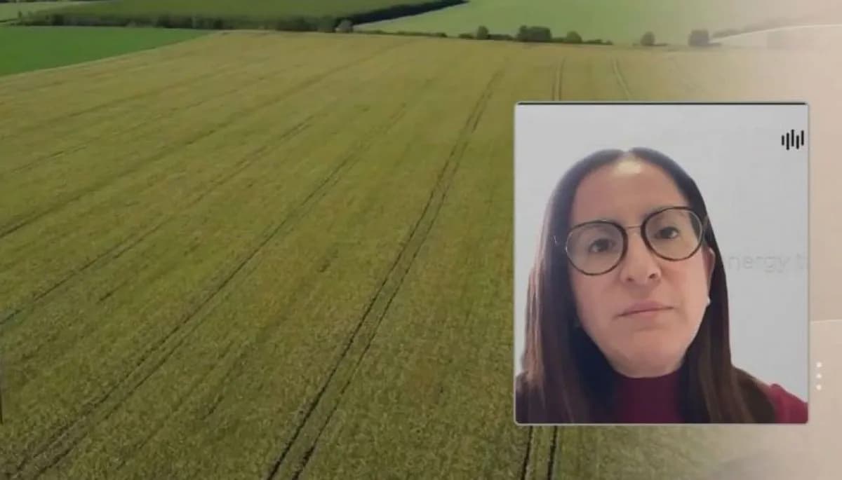 AI로 풍력발전 소음 문제 해결하는 칠레 스타트업