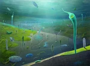 5억 년 전 화석이 말해주는 동물의 기원, 생각보다 훨씬 오래됐다