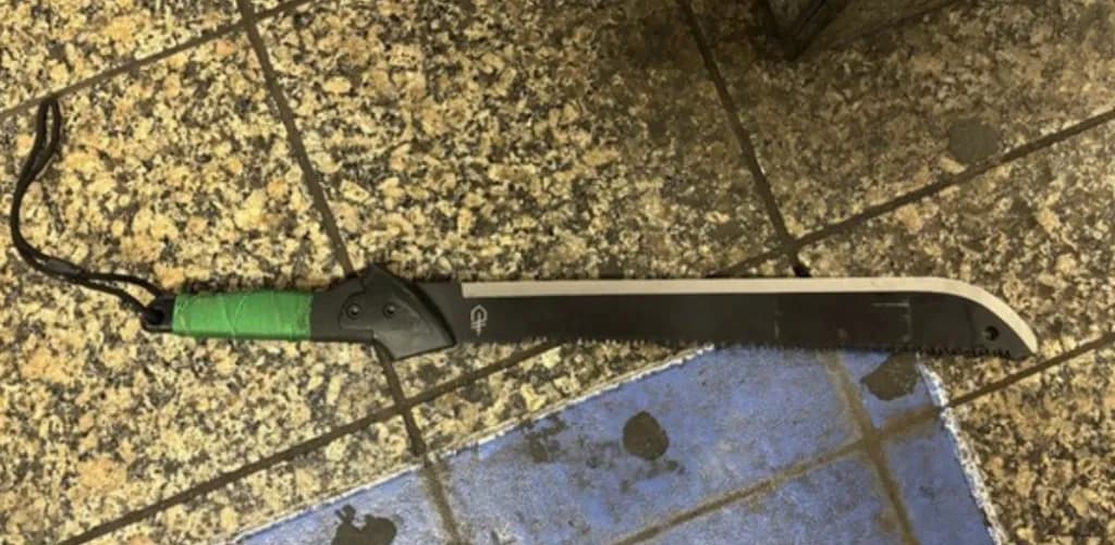 뉴욕 그랜드센트럴역 흉기 난동…경찰 총격으로 용의자 사망