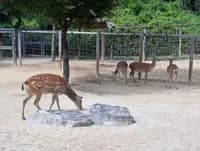 프로포폴 투약 후 운전하다 가로등 충돌한 30대 남성 구속