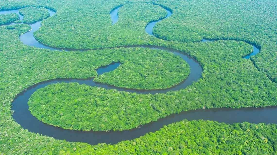 COP 30, 기후정의와 사회정의가 만나는 아마존