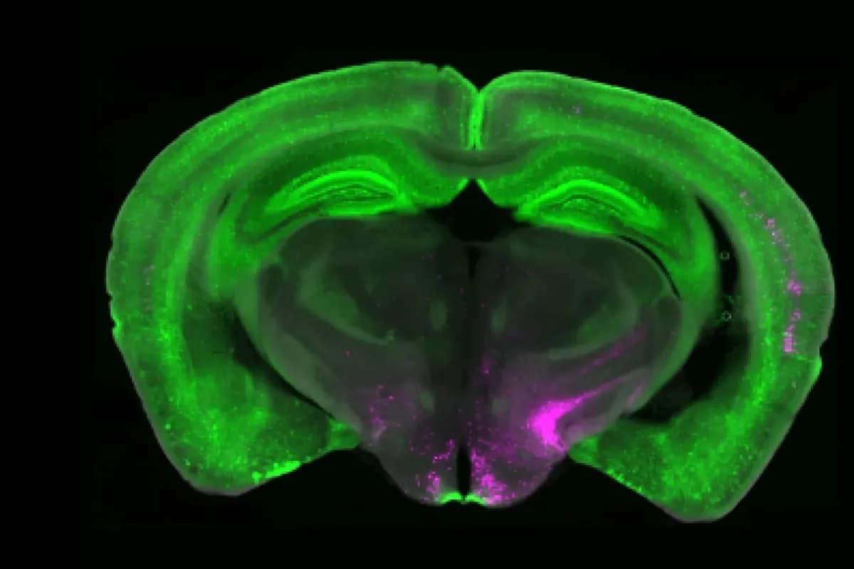 52년 만의 유인 달 임무, 우주에서 아이폰 꺼냈다