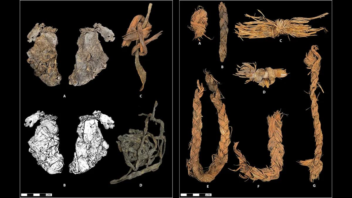 1만 2천 년 전 엘크 가죽, 세계 최고(最古) 바느질 의복일 가능성